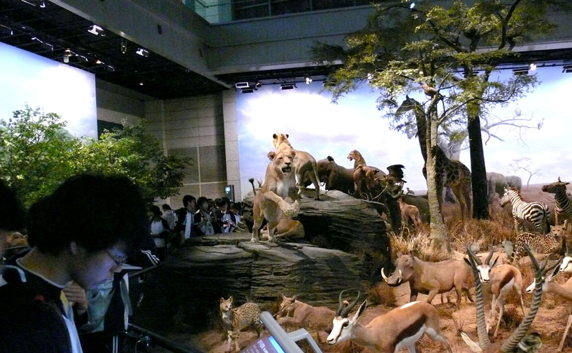 上海科技馆